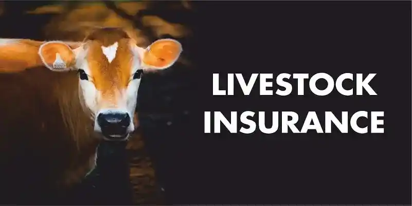 General Insurance Agent in Chhattisgarh